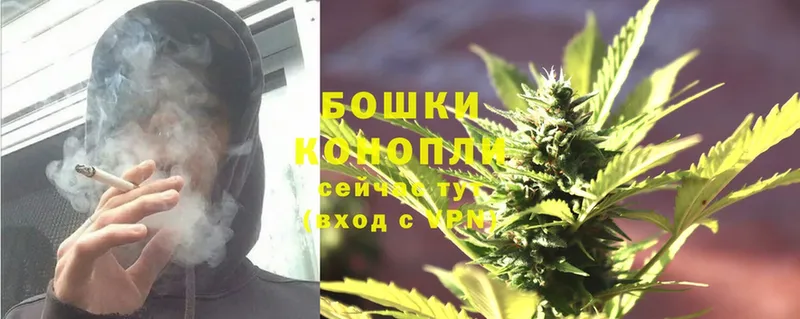 где купить наркотик  Камешково  Бошки Шишки OG Kush 